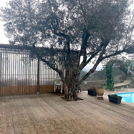 Refugios Do Rio Dao Villa Mangualde Exterior foto